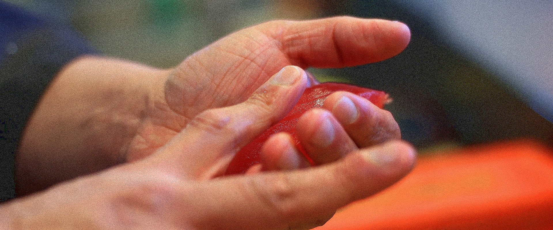 職人が握る本格寿司