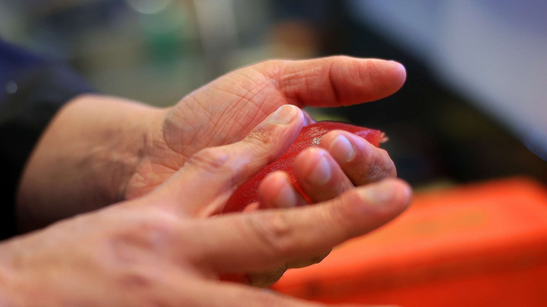 羽凍寿司（うとうすし）職人が握り、瞬間冷凍。岐阜羽島発の冷凍寿司「羽凍寿司」