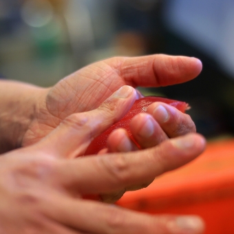 解凍は常温で置くだけ